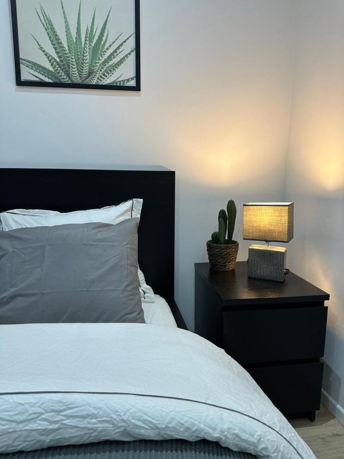 Nouveau Studio Dans Le Centre De Bruxelles Экстерьер фото